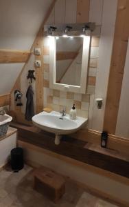 a bathroom with a sink and a mirror at Val de Gée in Maigné