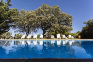 una piscina con tumbonas y un árbol en Pozuelo 3 JABUGO, en Jabugo