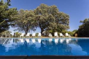 a swimming pool with lounge chairs and a tree at Pozuelo 3 JABUGO in Jabugo