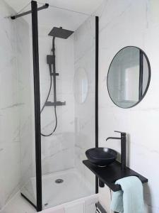 ein Bad mit einem Waschbecken und einem Spiegel in der Unterkunft Petit cocon sur Coudekerque-Branche in Coudekerque-Branche