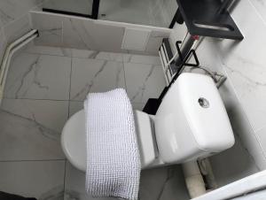 ein Badezimmer mit einem weißen WC und einem Waschbecken in der Unterkunft Petit cocon sur Coudekerque-Branche in Coudekerque-Branche