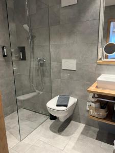 a bathroom with a shower with a toilet and a sink at Hotel Restaurant Kochschule Rössle in Elzach