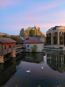 miasto z łabędziami w wodzie i zamkiem w obiekcie Une vue les pieds dans l'eau w Metz