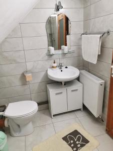 a bathroom with a sink and a toilet and a mirror at Emília vendégház in Ciumani