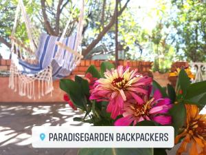 a couple of chairs and flowers on a patio at ParadiseGarden Backpackers in Windhoek