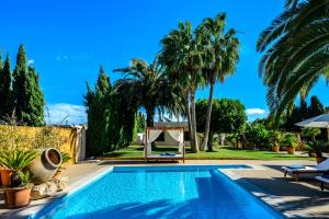 a swimming pool in a villa with palm trees at Villa Can Raco Ibiza in Sant Rafael de Sa Creu