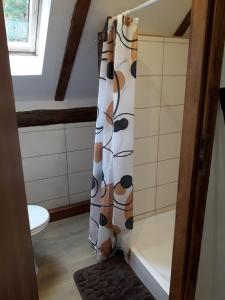 a bathroom with a panda shower curtain at Agroturystyka Kocioł Duży in Pisz