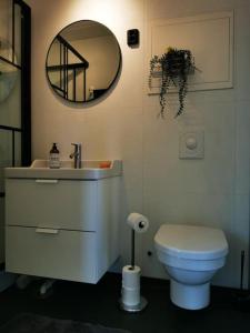 uma casa de banho com um lavatório, um WC e um espelho. em Nydelig lite hus med egen vedfyrt baksteovn. em Kaupanger