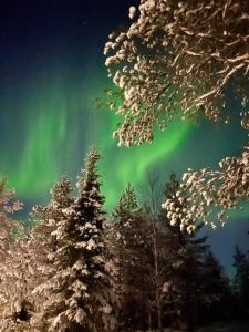 an aurora in the sky with trees and trees at Villa Karhunkehto in Luosto