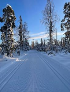 a road covered in snow with trees on it at Villa Karhunkehto in Luosto