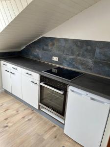 cocina con fogones en una habitación en Rustikale Wohnung mit Garten, en Allensbach