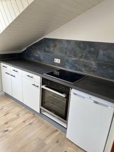 eine Küche mit einem Kochfeld im Zimmer in der Unterkunft Rustikale Wohnung mit Garten in Allensbach