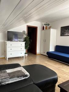 TV/Unterhaltungsangebot in der Unterkunft Rustikale Wohnung mit Garten