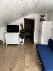 TV/Unterhaltungsangebot in der Unterkunft Rustikale Wohnung mit Garten