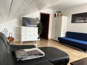 TV/Unterhaltungsangebot in der Unterkunft Rustikale Wohnung mit Garten