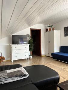 sala de estar con sofá y TV en Rustikale Wohnung mit Garten, en Allensbach