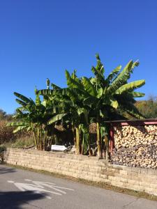 Galeriebild der Unterkunft Rustikale Wohnung mit Garten in Allensbach
