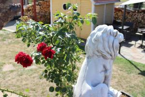 Ein Garten an der Unterkunft Rustikale Wohnung mit Garten