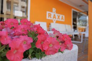 Fotografie z fotogalerie ubytování Hotel Raxa v destinaci Playa de Palma