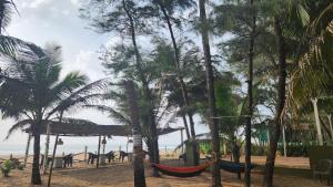 uma praia com palmeiras e redes em Gokarnastops Cafe & Stay for Backpackers em Gokarna