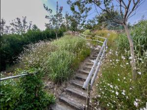 un conjunto de escaleras subiendo una colina con flores en Villa mirador de Sanxenxo, en Sanxenxo