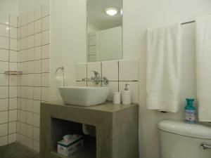 La salle de bains est pourvue d'un lavabo et de toilettes. dans l'établissement President Paul Kruger Guest Lodge, à Rustenburg