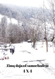 un champ enneigé avec des arbres et une montagne dans l'établissement Sielsko Anielsko, à Stryszawa