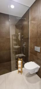 ein Bad mit einem WC und einem Waschbecken in der Unterkunft Cankar's Private Place in Ljubljana