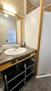 uma casa de banho com um lavatório e um espelho em Le Chalet Du Redon em Margencel