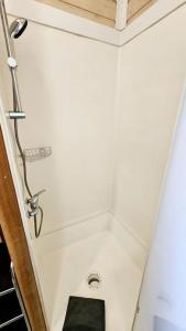 uma casa de banho com um chuveiro e um WC verde em Le Chalet Du Redon em Margencel