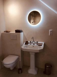 een badkamer met een wastafel, een toilet en een spiegel bij La Petite Maison in Auxey-Duresses