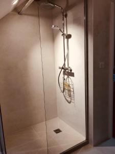 een douche met een glazen deur in de badkamer bij La Petite Maison in Auxey-Duresses