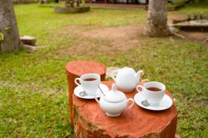 due tazze di caffè e piattini su un tronco di Wild Hut Habarana a Habarana