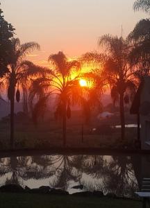 a sunset with palm trees and a pool of water at Nabana Lodge in Hazyview