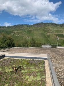 an empty road with a view of a vineyard at Weinrebe in Bernkastel-Kues