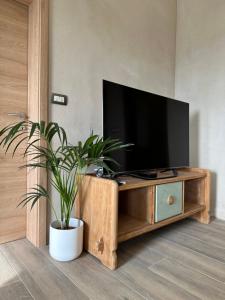 a television on a wooden entertainment center with a potted plant at Villa Olivia in Sečovlje