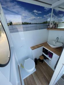 ein Bad mit einem Waschbecken und einem WC auf einem Boot in der Unterkunft Rollyboot Florina in Franzensberg