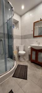 ein Bad mit einer Dusche, einem WC und einem Waschbecken in der Unterkunft Domek na skraju lasu in Uniejów