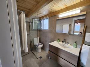 ein Badezimmer mit Toilette, Waschbecken und Spiegel in der Unterkunft Luxury Loft Apartment Yiota in Patras + 75 Fotos