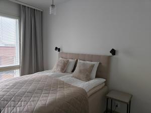1 dormitorio con 1 cama grande y ventana en Lapland Arctic Apartments, en Rovaniemi
