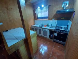 a small kitchen with a stove and a sink at Cabañas Raulies, Neltume. in Puerto Fuy