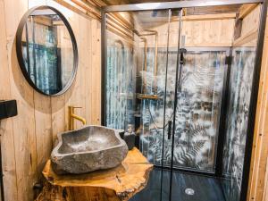 a bathroom with a stone sink and a mirror at Świergot in Brenna