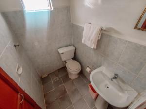 a small bathroom with a toilet and a sink at INTI WASI LODGE in Comunidad Yumani
