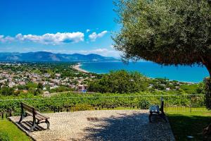 two benches sitting under a tree overlooking a city at Casa Di Ulisse Vista Mare-Free Parking-Wi-Fi in San Felice Circeo