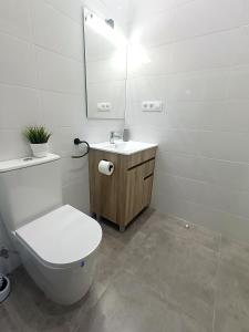 uma casa de banho com um WC, um lavatório e um espelho. em Apartamentos Rincón de Vinatea em Castellón de la Plana