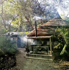 a small house with a thatch roof and a grill at The Tshilli Farm & Lodge in Maun