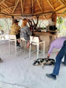 a group of people sitting in the sand with a dog at The Tshilli Farm & Lodge in Maun