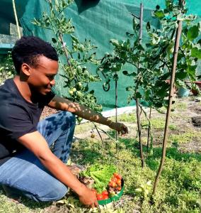 a man kneeling down next to a vegetable garden at The Tshilli Farm & Lodge in Maun