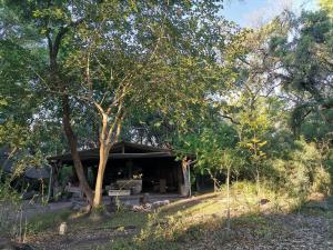 a pavilion with a picnic table under a tree at The Tshilli Farm & Lodge in Maun