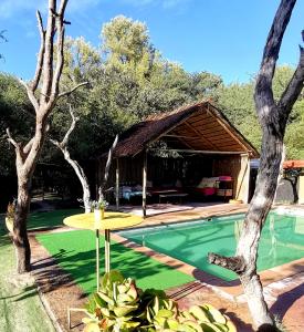 a house with a swimming pool in a yard at The Tshilli Farm & Lodge in Maun